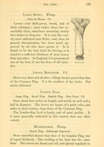 Reproducción/Reproduction 6002092363: The field and garden vegetables of America Boston,Crosby and Nichols,1863