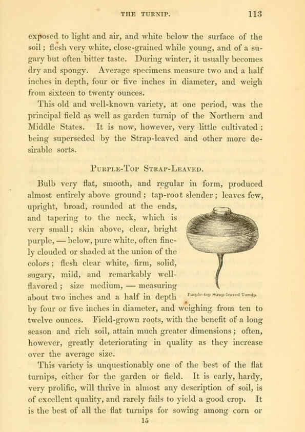 Reproducción/Reproduction 6002092077: The field and garden vegetables of America Boston,Crosby and Nichols,1863
