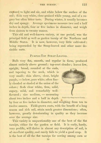 Reproducción/Reproduction 6002092077: The field and garden vegetables of America Boston,Crosby and Nichols,1863