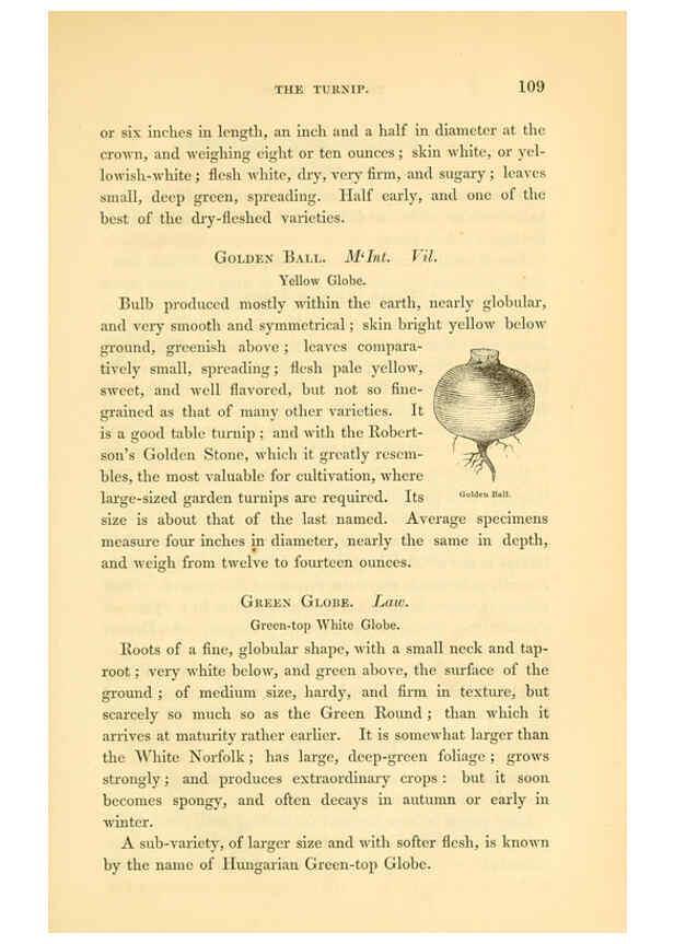 Reproducción/Reproduction 6002091775: The field and garden vegetables of America Boston,Crosby and Nichols,1863