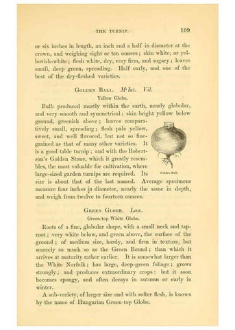 Reproducción/Reproduction 6002091775: The field and garden vegetables of America Boston,Crosby and Nichols,1863