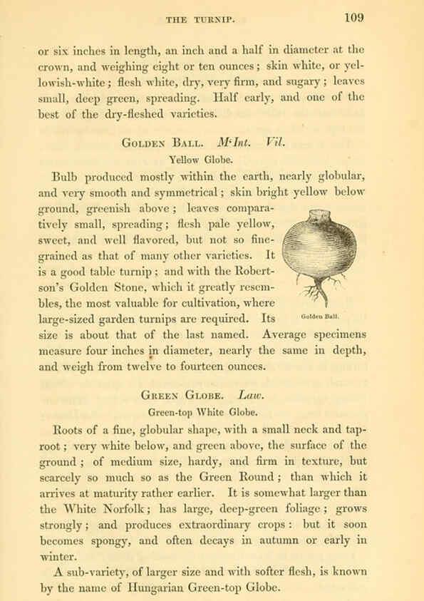 Reproducción/Reproduction 6002091775: The field and garden vegetables of America Boston,Crosby and Nichols,1863