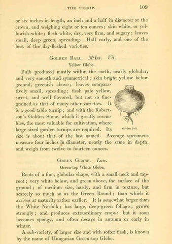 Reproducción/Reproduction 6002091775: The field and garden vegetables of America Boston,Crosby and Nichols,1863