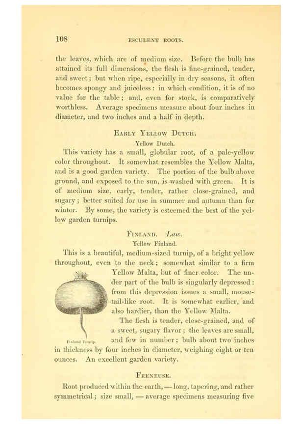 Reproducción/Reproduction 6002638342: The field and garden vegetables of America Boston,Crosby and Nichols,1863