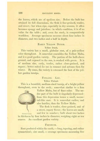 Reproducción/Reproduction 6002638342: The field and garden vegetables of America Boston,Crosby and Nichols,1863