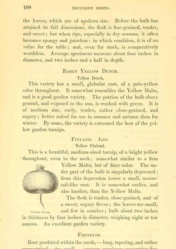 Reproducción/Reproduction 6002638342: The field and garden vegetables of America Boston,Crosby and Nichols,1863