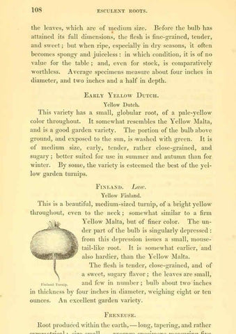 Reproducción/Reproduction 6002638342: The field and garden vegetables of America Boston,Crosby and Nichols,1863