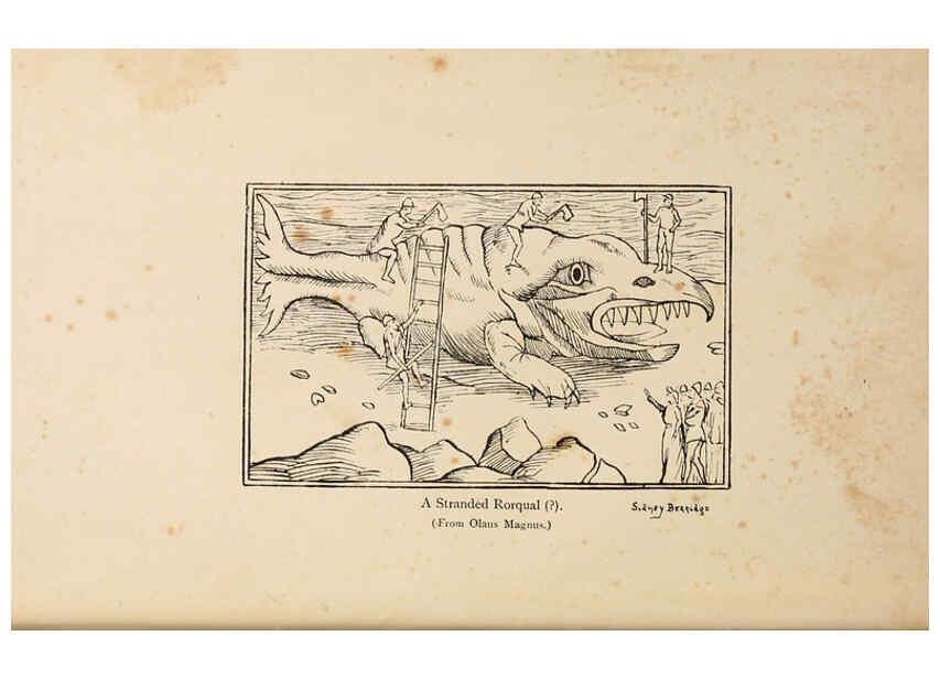 Reproducción/Reproduction 6002552282: A book of whales London,J. Murray;1900