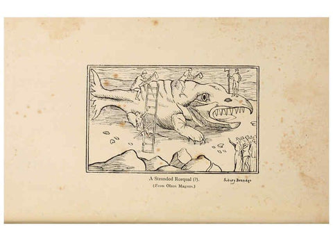 Reproducción/Reproduction 6002552282: A book of whales London,J. Murray;1900