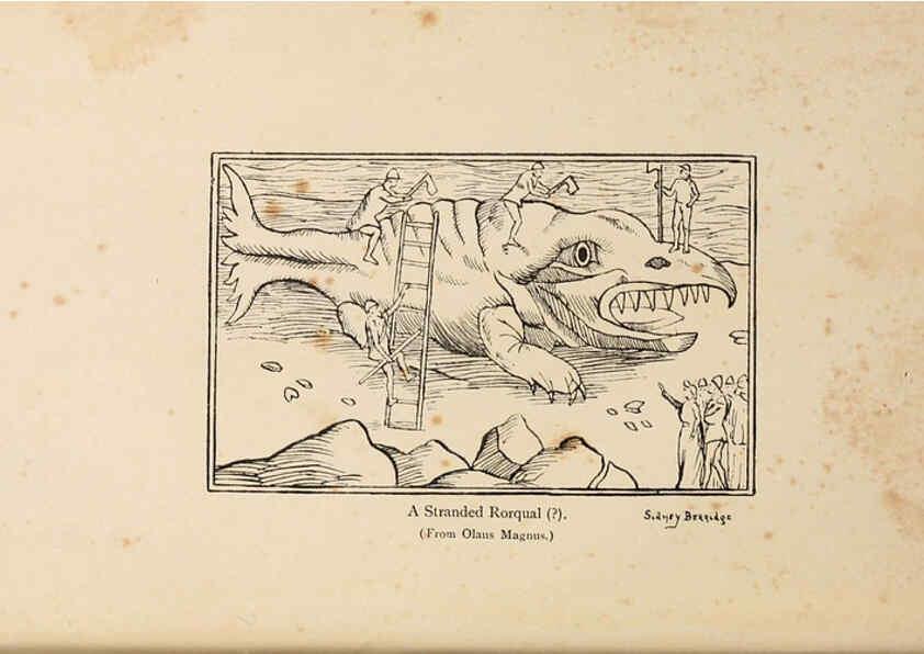 Reproducción/Reproduction 6002552282: A book of whales London,J. Murray;1900