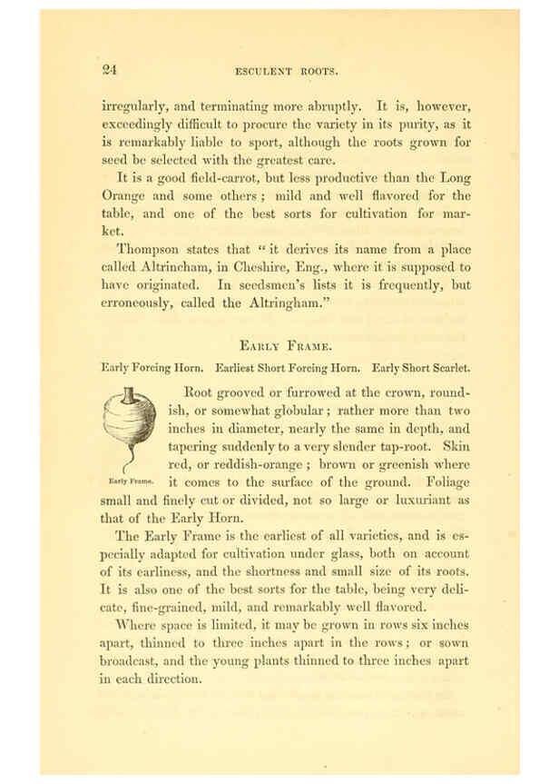 Reproducción/Reproduction 6002086593: The field and garden vegetables of America Boston,Crosby and Nichols,1863