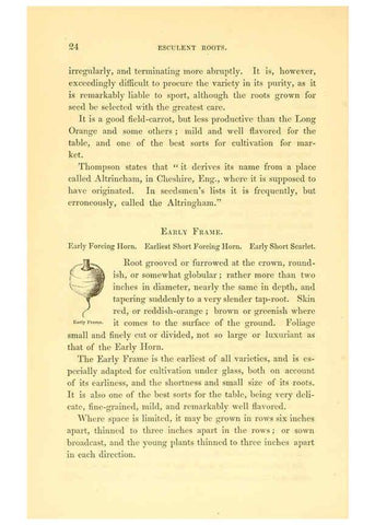 Reproducción/Reproduction 6002086593: The field and garden vegetables of America Boston,Crosby and Nichols,1863