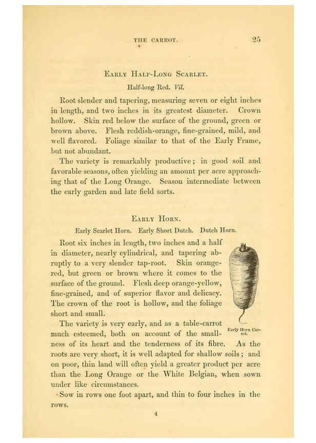 Reproducción/Reproduction 6002633712: The field and garden vegetables of America Boston,Crosby and Nichols,1863