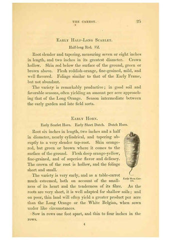 Reproducción/Reproduction 6002633712: The field and garden vegetables of America Boston,Crosby and Nichols,1863