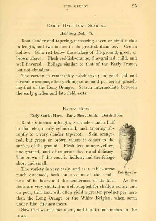 Reproducción/Reproduction 6002633712: The field and garden vegetables of America Boston,Crosby and Nichols,1863