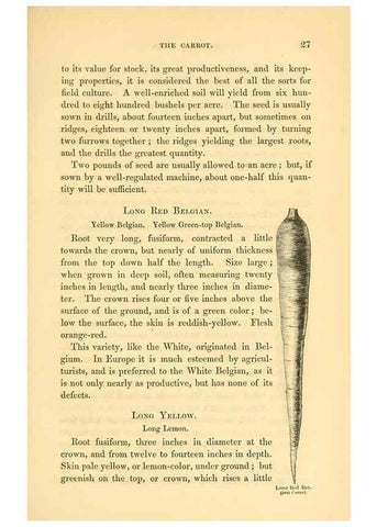 Reproducción/Reproduction 6002087331: The field and garden vegetables of America Boston,Crosby and Nichols,1863