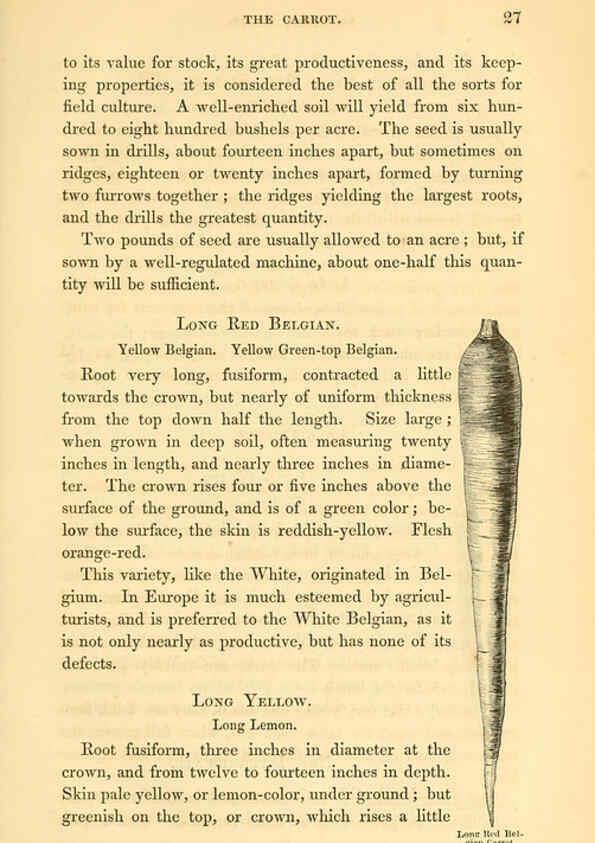 Reproducción/Reproduction 6002087331: The field and garden vegetables of America Boston,Crosby and Nichols,1863