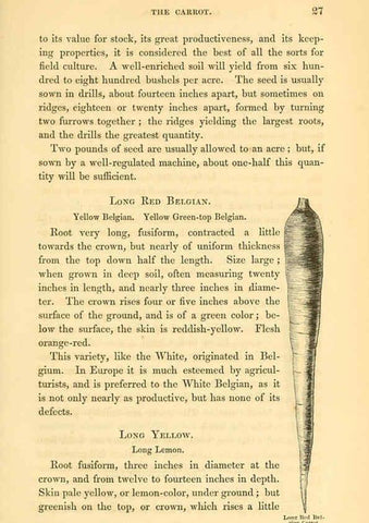 Reproducción/Reproduction 6002087331: The field and garden vegetables of America Boston,Crosby and Nichols,1863