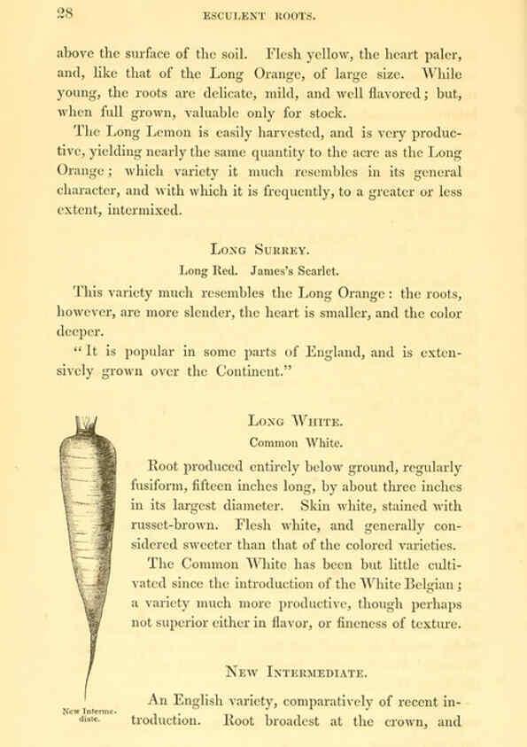Reproducción/Reproduction 6002634356: The field and garden vegetables of America Boston,Crosby and Nichols,1863