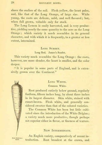Reproducción/Reproduction 6002634356: The field and garden vegetables of America Boston,Crosby and Nichols,1863