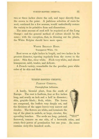 Reproducción/Reproduction 6002088263: The field and garden vegetables of America Boston,Crosby and Nichols,1863