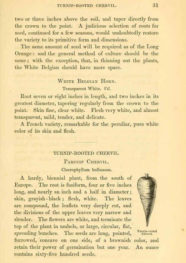 Reproducción/Reproduction 6002088263: The field and garden vegetables of America Boston,Crosby and Nichols,1863