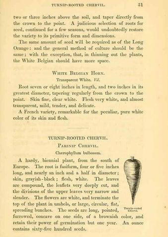 Reproducción/Reproduction 6002088263: The field and garden vegetables of America Boston,Crosby and Nichols,1863
