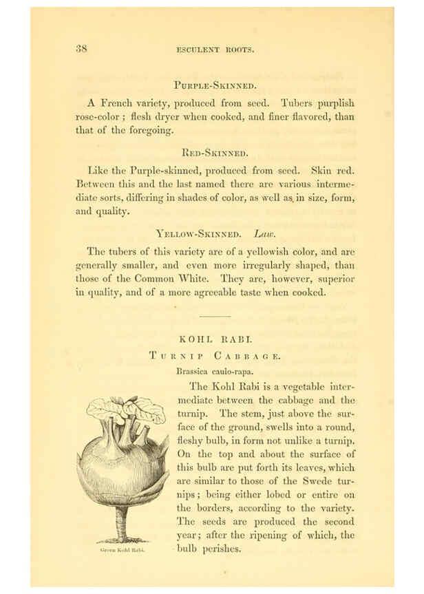 Reproducción/Reproduction 6002088901: The field and garden vegetables of America Boston,Crosby and Nichols,1863