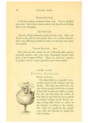 Reproducción/Reproduction 6002088901: The field and garden vegetables of America Boston,Crosby and Nichols,1863