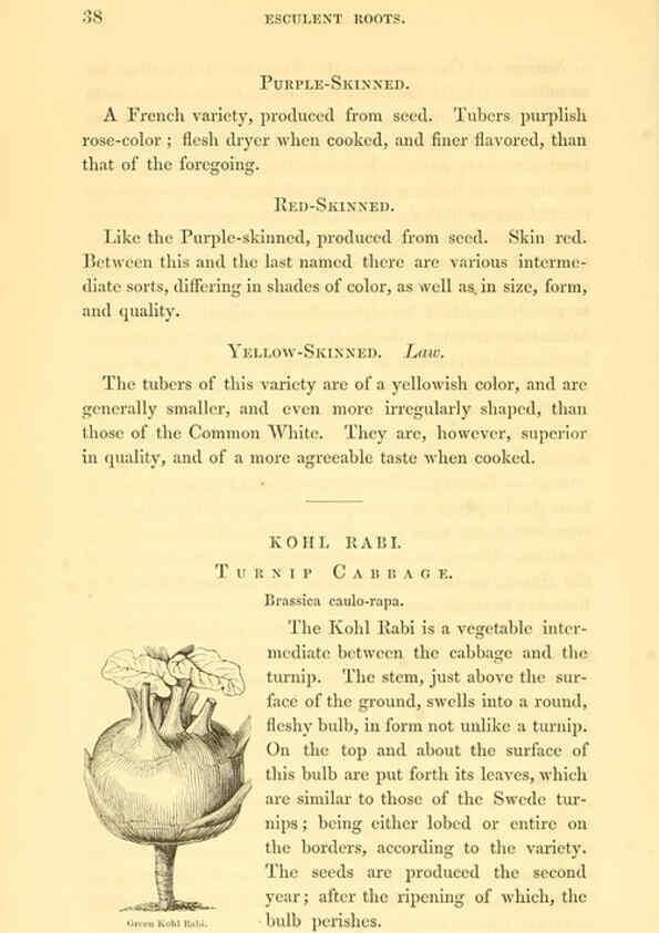 Reproducción/Reproduction 6002088901: The field and garden vegetables of America Boston,Crosby and Nichols,1863