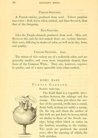 Reproducción/Reproduction 6002088901: The field and garden vegetables of America Boston,Crosby and Nichols,1863