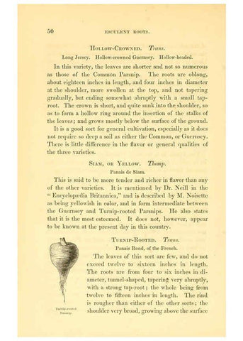 Reproducción/Reproduction 6002635936: The field and garden vegetables of America Boston,Crosby and Nichols,1863