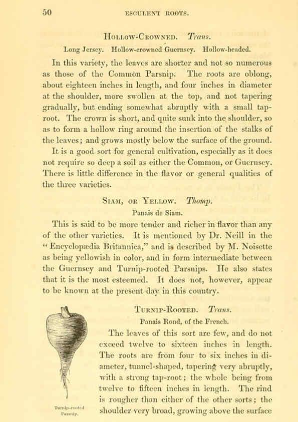 Reproducción/Reproduction 6002635936: The field and garden vegetables of America Boston,Crosby and Nichols,1863