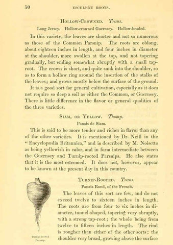 Reproducción/Reproduction 6002635936: The field and garden vegetables of America Boston,Crosby and Nichols,1863