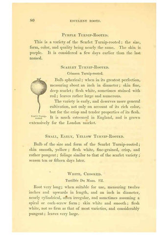 Reproducción/Reproduction 6002636652: The field and garden vegetables of America Boston,Crosby and Nichols,1863