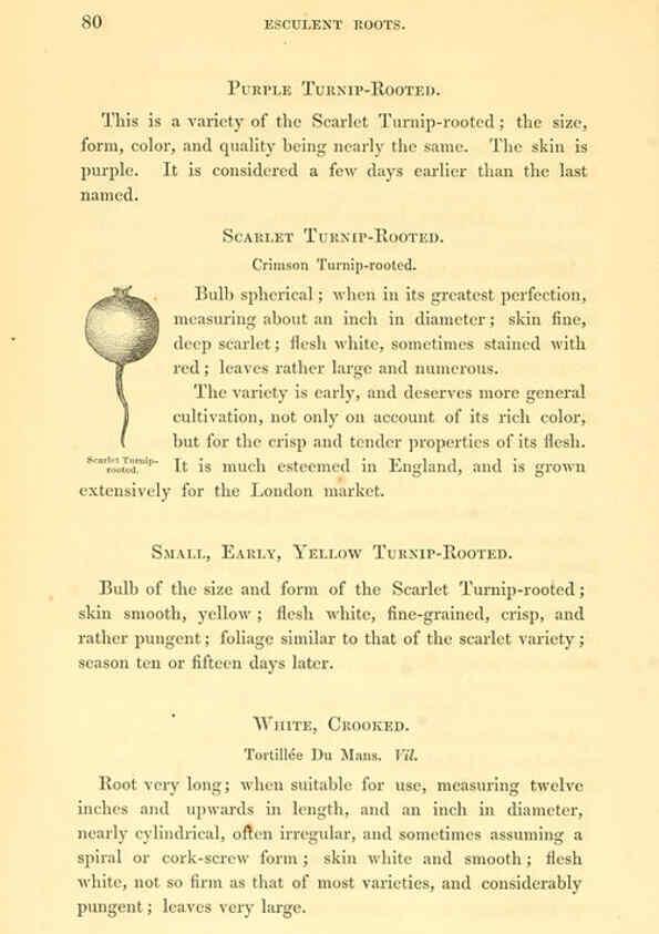 Reproducción/Reproduction 6002636652: The field and garden vegetables of America Boston,Crosby and Nichols,1863