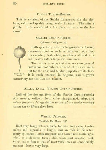 Reproducción/Reproduction 6002636652: The field and garden vegetables of America Boston,Crosby and Nichols,1863