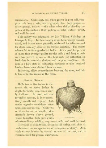 Reproducción/Reproduction 6002637218: The field and garden vegetables of America Boston,Crosby and Nichols,1863