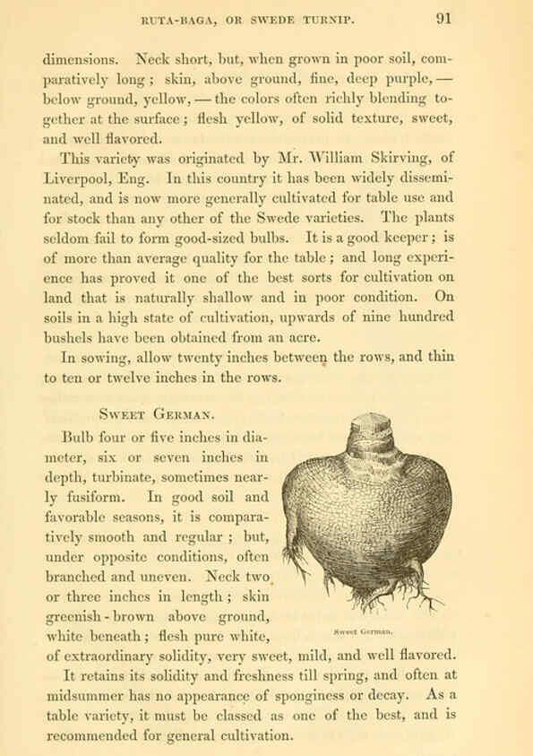 Reproducción/Reproduction 6002637218: The field and garden vegetables of America Boston,Crosby and Nichols,1863