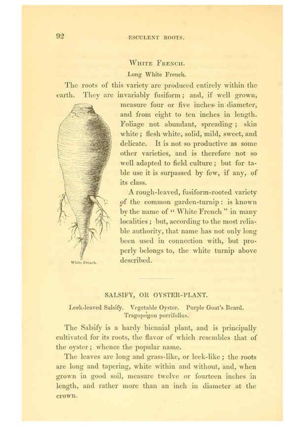 Reproducción/Reproduction 6002637620: The field and garden vegetables of America Boston,Crosby and Nichols,1863