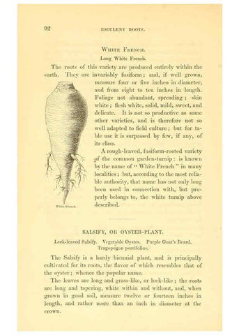 Reproducción/Reproduction 6002637620: The field and garden vegetables of America Boston,Crosby and Nichols,1863