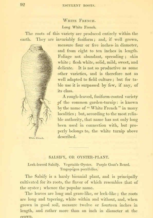 Reproducción/Reproduction 6002637620: The field and garden vegetables of America Boston,Crosby and Nichols,1863