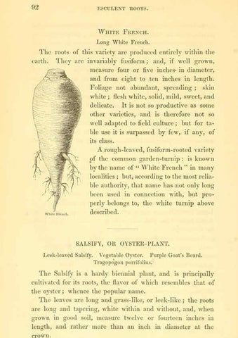 Reproducción/Reproduction 6002637620: The field and garden vegetables of America Boston,Crosby and Nichols,1863
