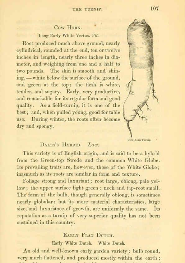 Reproducción/Reproduction 6002091059: The field and garden vegetables of America Boston,Crosby and Nichols,1863