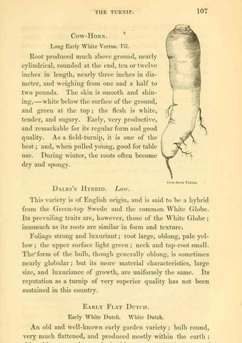 Reproducción/Reproduction 6002091059: The field and garden vegetables of America Boston,Crosby and Nichols,1863
