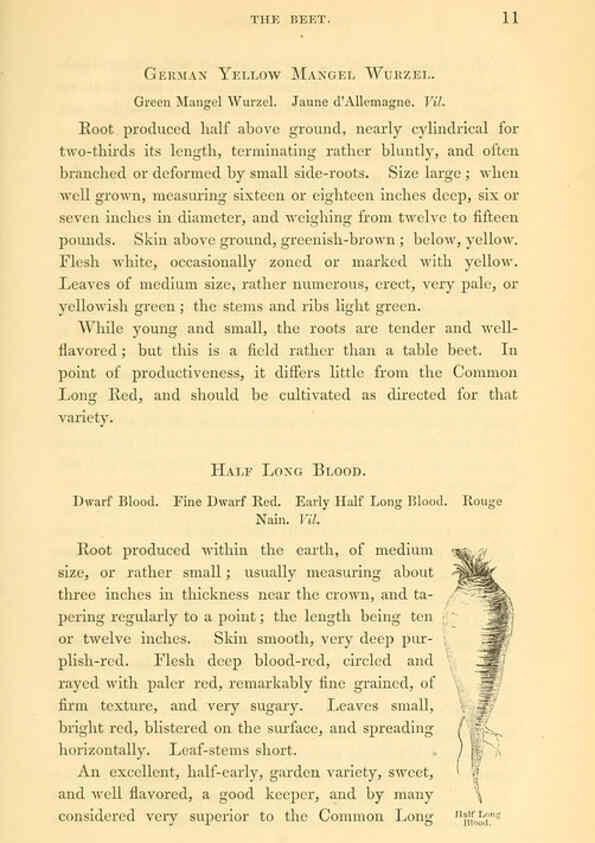 Reproducción/Reproduction 6002085523: The field and garden vegetables of America Boston,Crosby and Nichols,1863