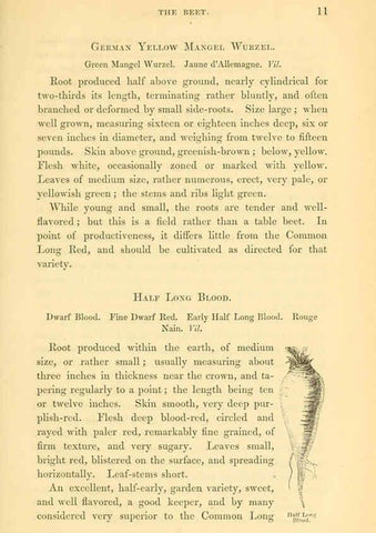 Reproducción/Reproduction 6002085523: The field and garden vegetables of America Boston,Crosby and Nichols,1863