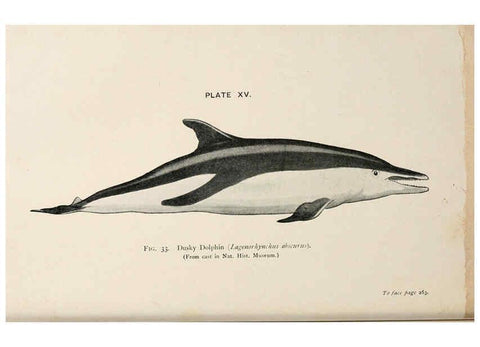 Reproducción/Reproduction 6002010425: A book of whales London,J. Murray;1900