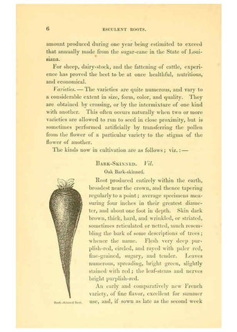Reproducción/Reproduction 6002631470: The field and garden vegetables of America Boston,Crosby and Nichols,1863