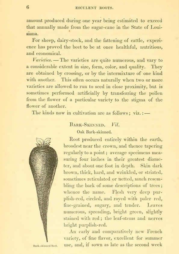 Reproducción/Reproduction 6002631470: The field and garden vegetables of America Boston,Crosby and Nichols,1863